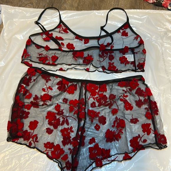 Sheer Black and red bralette and underwear set BNWT - Picture 1 of 5